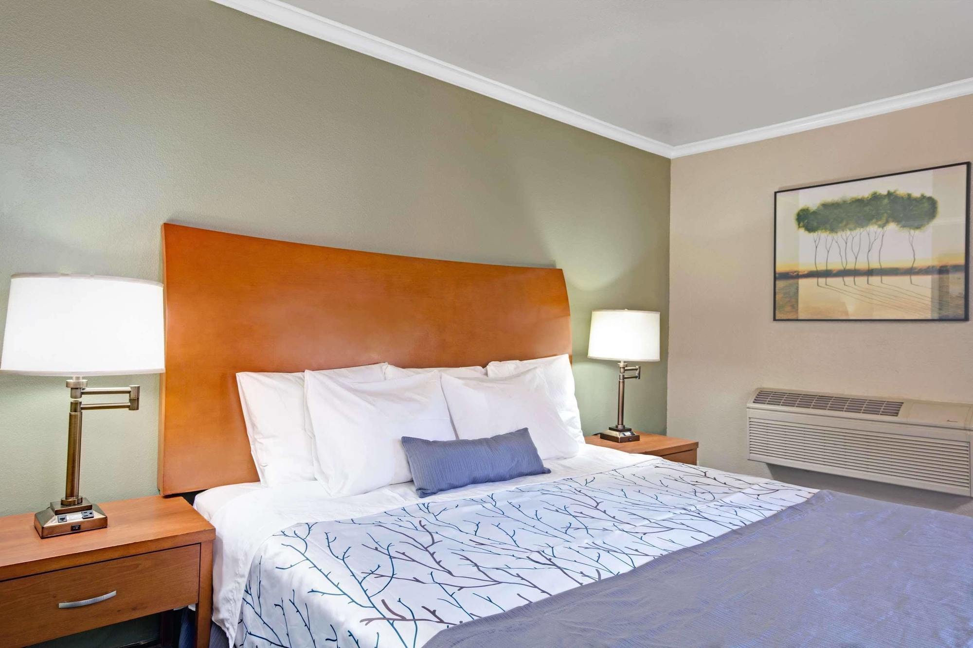 Days Inn By Wyndham San Jose Convention Center Dış mekan fotoğraf